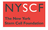 New York Stem Cell Foundation