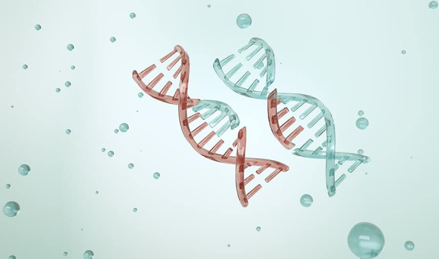 2024 FDA Scientific Exchange: Advancing Gene Editing Platforms for Rare Diseases