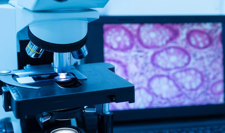 Tissue Engineering and Therapeutics Workshop