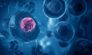 Q1 2026 Cell & Gene Therapy Sector Snapshot